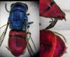 Chrysis inaequalis